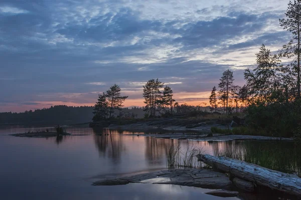Rocky Coast Lake Pine Trees Driftwood Summer Sunset Reflection Night — Stock Photo, Image