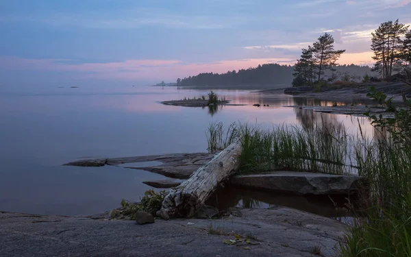 Côte Rocheuse Lac Avec Bois Flotté Petites Îles Contre Coucher Photos De Stock Libres De Droits