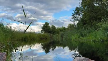 Sakin bir nehrin dingin güzelliğini keşfedin. Dalgalı gökyüzünü yansıtan ve suların kenarındaki yemyeşil suları. Huzurlu bir günde doğayı kucaklayın.