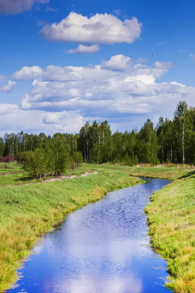 Piękny Krajobraz Centralnej Rosji Brzozami Czystym Niebem Obraz Stockowy