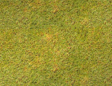 Futbol sahası çim yüzeyi