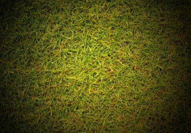 Futbol sahasının çim dokusu