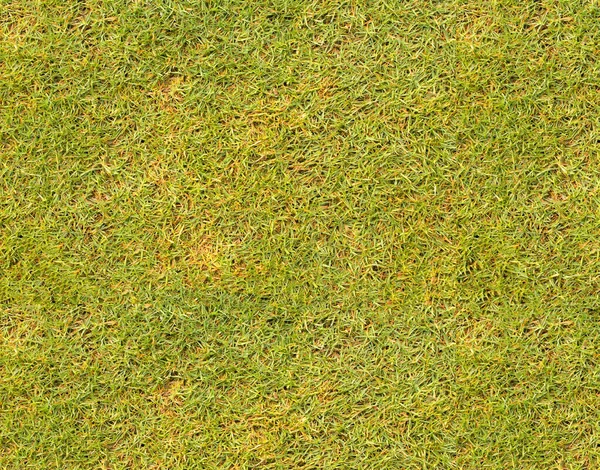 Rasenfläche Fußballfeld — Stockfoto