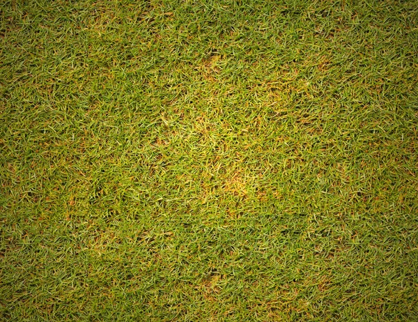 Campo Futebol Superfície Grama — Fotografia de Stock