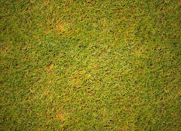 足球场草地表面 — 图库照片