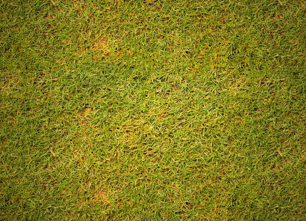 Campo Futebol Superfície Grama — Fotografia de Stock