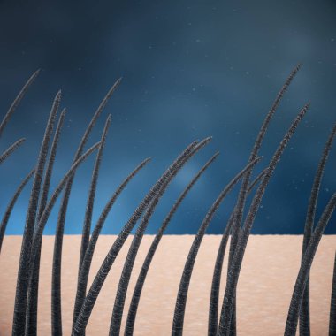 3d render saç keratin güçlendirilmesi, saç bakımı. Tedavi ve bakım saç. Saçlı deri altında mikroskobik yakından görmek.