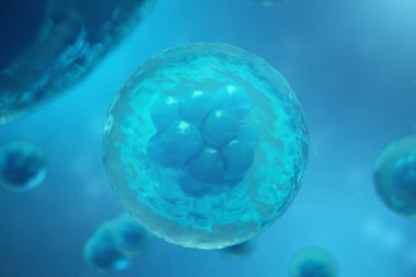 mavi arka plan üzerinde 3D render insan ya da hayvan hücreleri. Kavram erken sahne embriyo tıp bilimsel kavram, kök hücre araştırma ve tedavi.