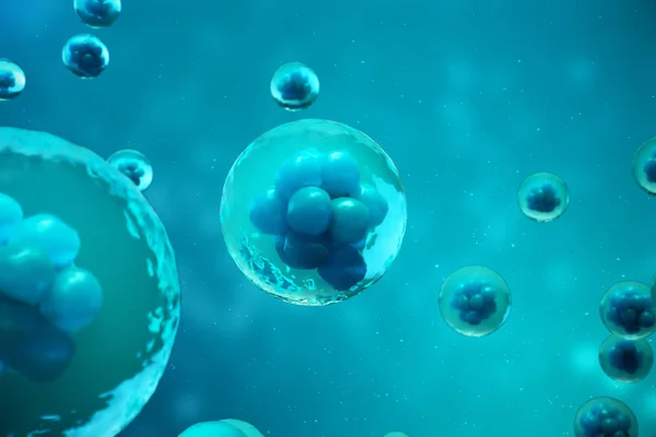 3D Rendering human or animal cells on blue background. Concept Early stage embryo Medicine scientific concept, Stem cell research and treatment. — Stock Photo, Image