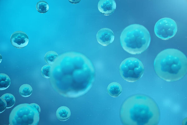 3D Rendering human or animal cells on blue background. Concept Early stage embryo Medicine scientific concept, Stem cell research and treatment.