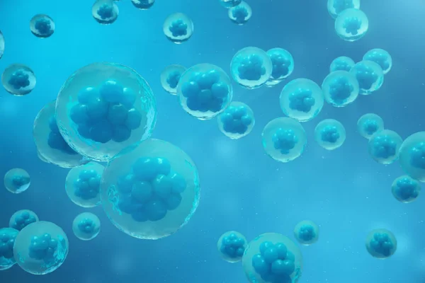 3D rendering ανθρώπινων ή ζωικών κυττάρων σε μπλε φόντο. Έννοια πρώιμο στάδιο εμβρύου ιατρική επιστημονική έννοια, έρευνα κυττάρων μίσχων και θεραπεία. — Φωτογραφία Αρχείου