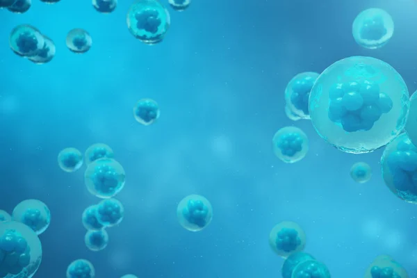 3D rendering mänskliga celler eller djurceller på blå bakgrund. Tidigt skede embryo medicin vetenskapliga konceptet, stamcellsforskning och behandling. — Stockfoto
