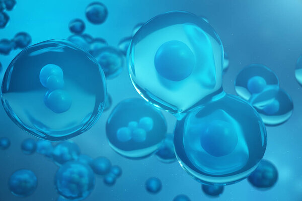 3D Rendering human or animal cells on blue background. Concept Early stage embryo Medicine scientific concept, Stem cell research and treatment.