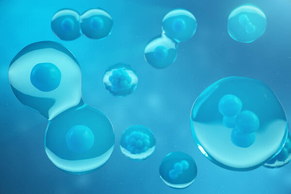 3D Rendering human or animal cells on blue background. Concept Early stage embryo Medicine scientific concept, Stem cell research and treatment.