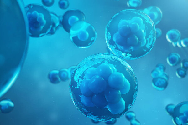 3D Rendering human or animal cells on blue background. Concept Early stage embryo Medicine scientific concept, Stem cell research and treatment.