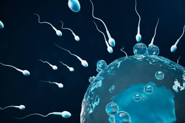 Sperm ve yumurta hücresi, yumurta. Doğal ve doğal döllenme - yakından görmek. Yeni bir hayata başlangıç anlayışı. Tıbbi kavramı 3d çizim