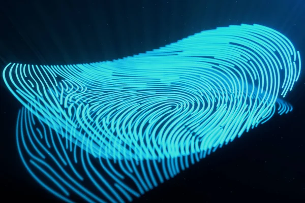 3D illustration Fingerprint scan provides security access with biometrics identification. Concept Fingerprint protection.Curved fingerprint. Concept of digital security