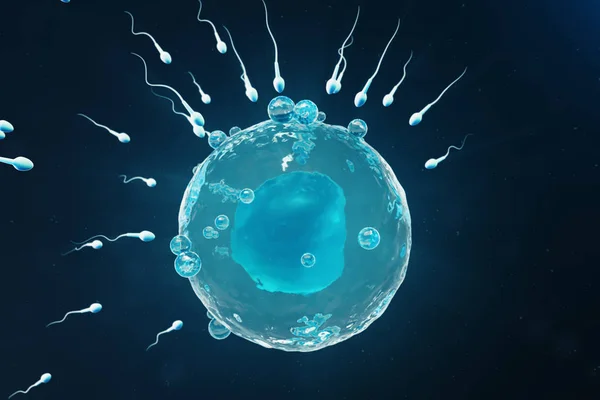 Sperm and egg cell, ovum. Native and natural fertilization - close-up view. Conception the beginning of a new life. Medical concept 3D illustration — Stock Photo, Image