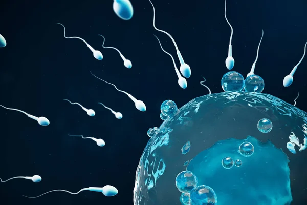 Sperm ve yumurta hücresi, yumurta. Doğal ve doğal döllenme - yakından görmek. Yeni bir hayata başlangıç anlayışı. Tıbbi kavramı 3d çizim — Stok fotoğraf