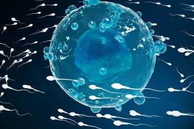 Sperm ve yumurta hücresi, yumurta. Doğal ve doğal döllenme - yakından görmek. Yeni bir hayata başlangıç anlayışı. Tıbbi kavramı 3d çizim