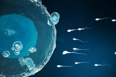 Sperm ve yumurta hücresi, yumurta. Doğal ve doğal döllenme - yakından görmek. Yeni bir hayata başlangıç anlayışı. Tıbbi kavramı 3d çizim