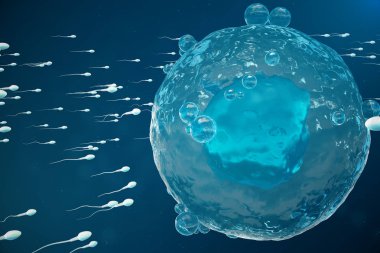 Sperm ve yumurta hücresi, yumurta. Doğal ve doğal döllenme - yakından görmek. Yeni bir hayata başlangıç anlayışı. Tıbbi kavramı 3d çizim