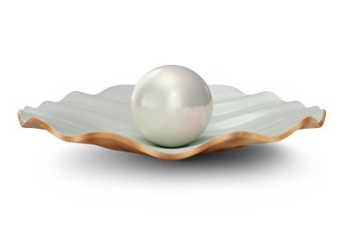 İnci iç kabuk. Doğal açık inci kabuğu. 3D çizim