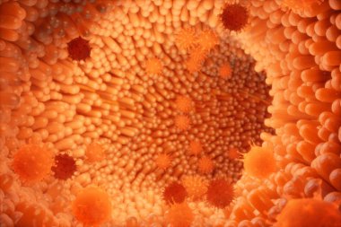 3D illustration Intestinal villi. Intestine lining. Microscopic capillary. Human intestine. Concept of a healthy or diseased intestinal. Viruses, bacteria, cell infected organism, decreased immunity. clipart