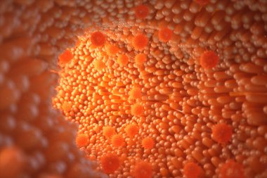 3D çizim bağırsak villus. Bağırsak astar. Mikroskobik villus ve kılcal. İnsan bağırsak. Viral enfeksiyon kronik hastalık neden. Sarılık virüsü, grip virüsü, hücre bulaştırmak organizma.