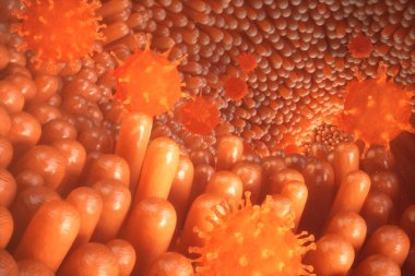 3D çizim bağırsak villus. Bağırsak astar. Mikroskobik villus ve kılcal. İnsan bağırsak. Viral enfeksiyon kronik hastalık neden. Sarılık virüsü, grip virüsü, hücre bulaştırmak organizma.