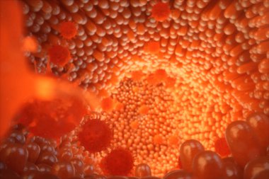 3D illustration Intestinal villi. Intestine lining. Microscopic capillary. Human intestine. Concept of a healthy or diseased intestinal. Viruses, bacteria, cell infected organism, decreased immunity. clipart