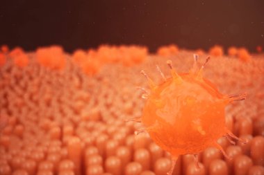 3D çizim bağırsak villus. Bağırsak astar. Mikroskobik kılcal. İnsan bağırsak. Kavramı bir sağlıklı ya da hastalıklı bağırsak. Virüs, bakteri, mikrop hücre organizma, dokunulmazlık azaldı.