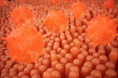 3D çizim bağırsak villus. Bağırsak astar. Mikroskobik kılcal. İnsan bağırsak. Kavramı bir sağlıklı ya da hastalıklı bağırsak. Virüs, bakteri, mikrop hücre organizma, dokunulmazlık azaldı.