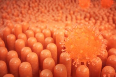 3D çizim bağırsak villus. Bağırsak astar. Mikroskobik villus ve kılcal. İnsan bağırsak. Viral enfeksiyon kronik hastalık neden. Sarılık virüsü, grip virüsü, hücre bulaştırmak organizma.