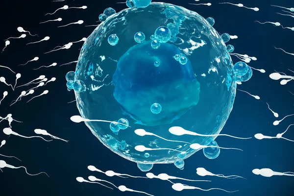 Sperma- en eiceldonatie cel, eicel. Inheemse en natuurlijke bevruchting - vergrote weergave. Conception het begin van een nieuw leven. Medische concept 3d illustratie — Stockfoto