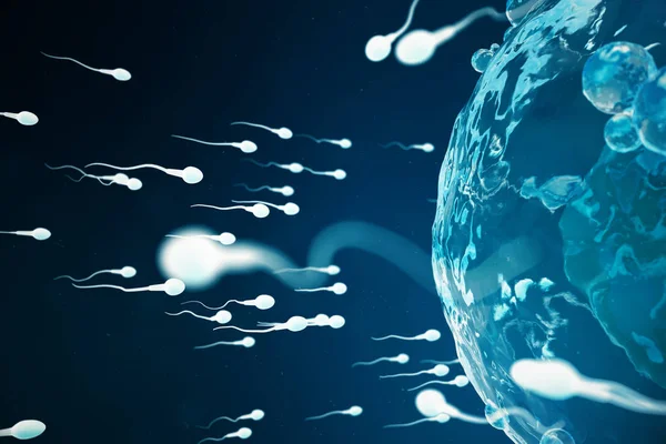 Сперма и яйцеклетка, яйцеклетка. Родное и естественное оплодотворение - крупным планом. Концепция начала новой жизни. 3D-иллюстрация — стоковое фото