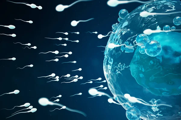 Sperma- en eiceldonatie cel, eicel. Inheemse en natuurlijke bevruchting - vergrote weergave. Conception het begin van een nieuw leven. Medische concept 3d illustratie — Stockfoto