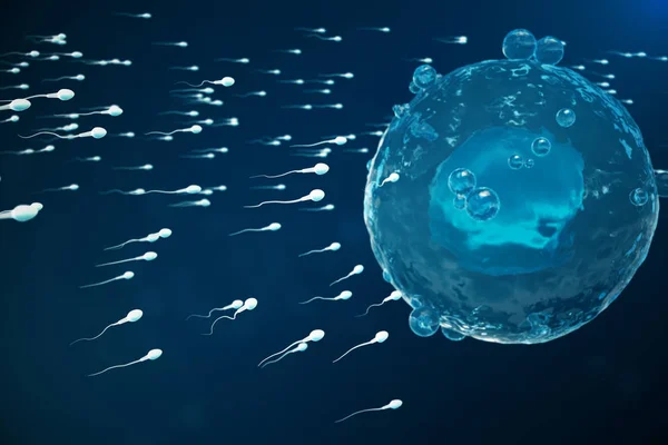 Sperm and egg cell, ovum. Native and natural fertilization - close-up view. Conception the beginning of a new life. Medical concept 3D illustration — Stock Photo, Image