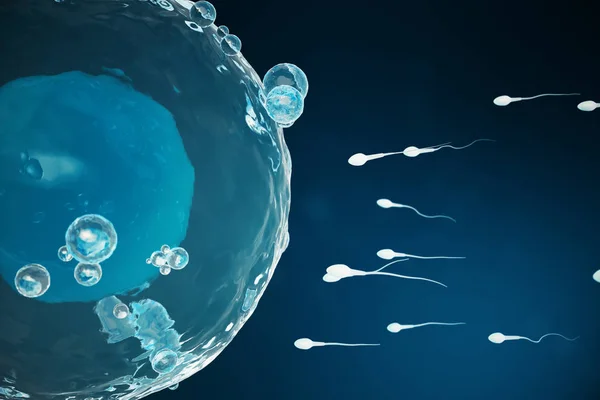 Sperm ve yumurta hücresi, yumurta. Doğal ve doğal döllenme - yakından görmek. Yeni bir hayata başlangıç anlayışı. Tıbbi kavramı 3d çizim — Stok fotoğraf