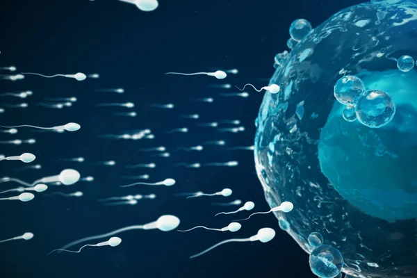 Esperma e óvulos, óvulo. Fertilização nativa e natural - visão de perto. Concepção o início de uma nova vida. Conceito médico ilustração 3D — Fotografia de Stock