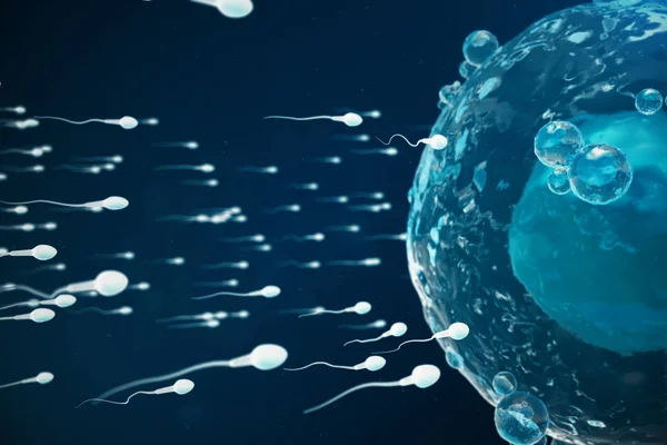 Sperma- en eiceldonatie cel, eicel. Inheemse en natuurlijke bevruchting - vergrote weergave. Conception het begin van een nieuw leven. Medische concept 3d illustratie — Stockfoto