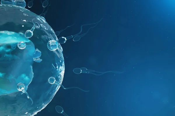 Сперма и яйцеклетка, яйцеклетка. Родное и естественное оплодотворение - крупным планом. Зачатие, начало новой жизни. 3D иллюстрация — стоковое фото