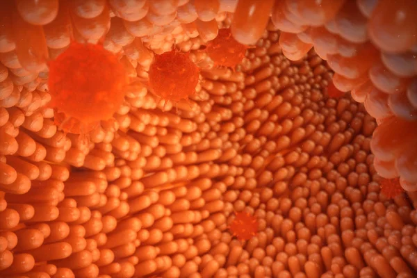 Ilustração 3d vilosidades intestinais. Forro intestinal. Vilosidades microscópicas e capilar. Intestino humano. Infecção viral que causa doença crónica. Vírus da hepatite, vírus influenza, organismo infetado por células . — Fotografia de Stock