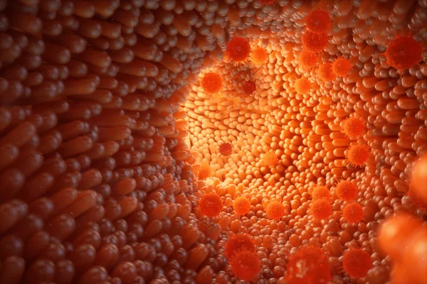 3D ilustracja kosmków jelitowych. Śluzowej jelit. Mikroskopijne kosmków i kapilarą. Ludzkich jelitach. Zakażenie wirusowe powodujące przewlekłą chorobą. Wirusy zapalenia wątroby, wirus grypy, zainfekować komórki organizmu. — Zdjęcie stockowe