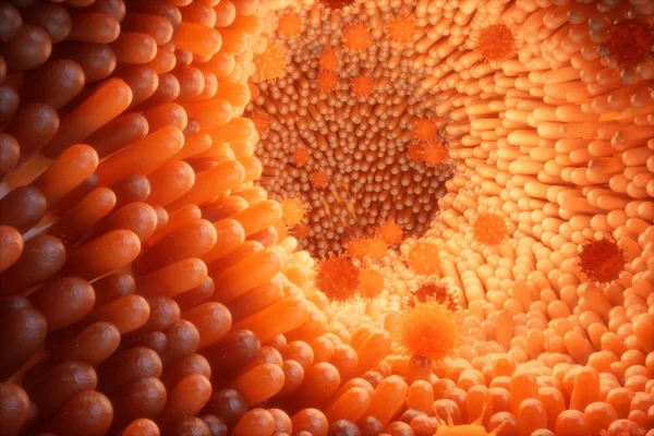 Ilustração 3d vilosidades intestinais. Forro intestinal. Vilosidades microscópicas e capilar. Intestino humano. Infecção viral que causa doença crónica. Vírus da hepatite, vírus influenza, organismo infetado por células . — Fotografia de Stock