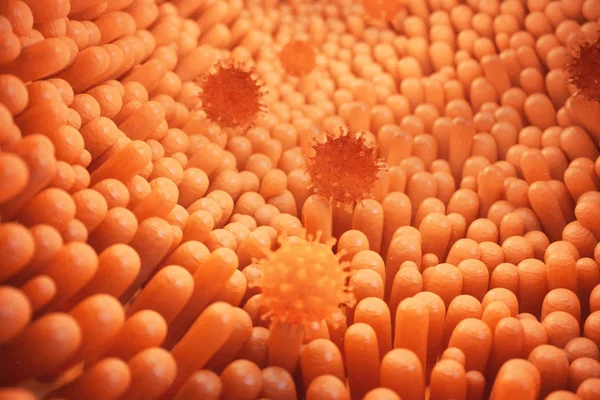3D illustration tarmens villi. Tarmen foder. Mikroskopiska villi och kapillär. Mänskliga tarmen. Virusinfektion som orsakar kronisk sjukdom. Hepatitvirus, influensavirus, cell infektera organism. — Stockfoto
