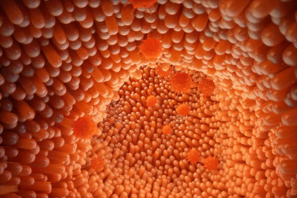 Ilustración 3D Vellosidades intestinales. Revestimiento intestinal. Capilar microscópico. Intestino humano. Concepto de un intestino sano o enfermo. Virus, bacterias, organismo infectado por células, disminución de la inmunidad . — Foto de Stock