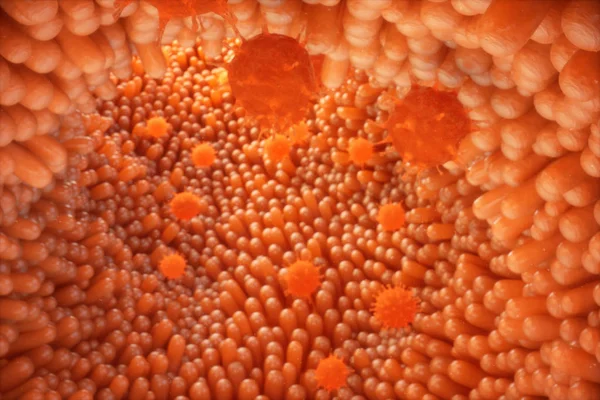 3D απεικόνιση εντερική λαχνών. Έντερο επένδυση. Μικροσκοπικά τριχοειδή αγγεία. Ανθρώπινο έντερο. Έννοια ενός υγιούς ή νοσούντων εντερικά. Ιοί, βακτήρια, μολυσμένων κυττάρων του οργανισμού, μειωμένη ανοσία. — Φωτογραφία Αρχείου