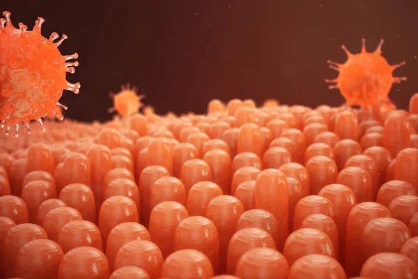 3D illustration tarmens villi. Tarmen foder. Mikroskopiska villi och kapillär. Mänskliga tarmen. Virusinfektion som orsakar kronisk sjukdom. Hepatitvirus, influensavirus, cell infektera organism. — Stockfoto