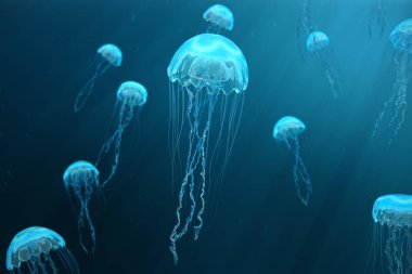 denizanası 3D resimde arka plan. Denizanası okyanus denizde yüzüyor, ışık birimi-ışınları etkisi oluşturma su geçer. Tehlikeli mavi denizanası